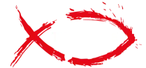 XTELEVIZE